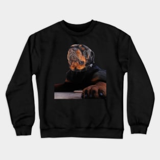 A Magnificent Male Rottweiler Dog Photograph Cut Out Crewneck Sweatshirt